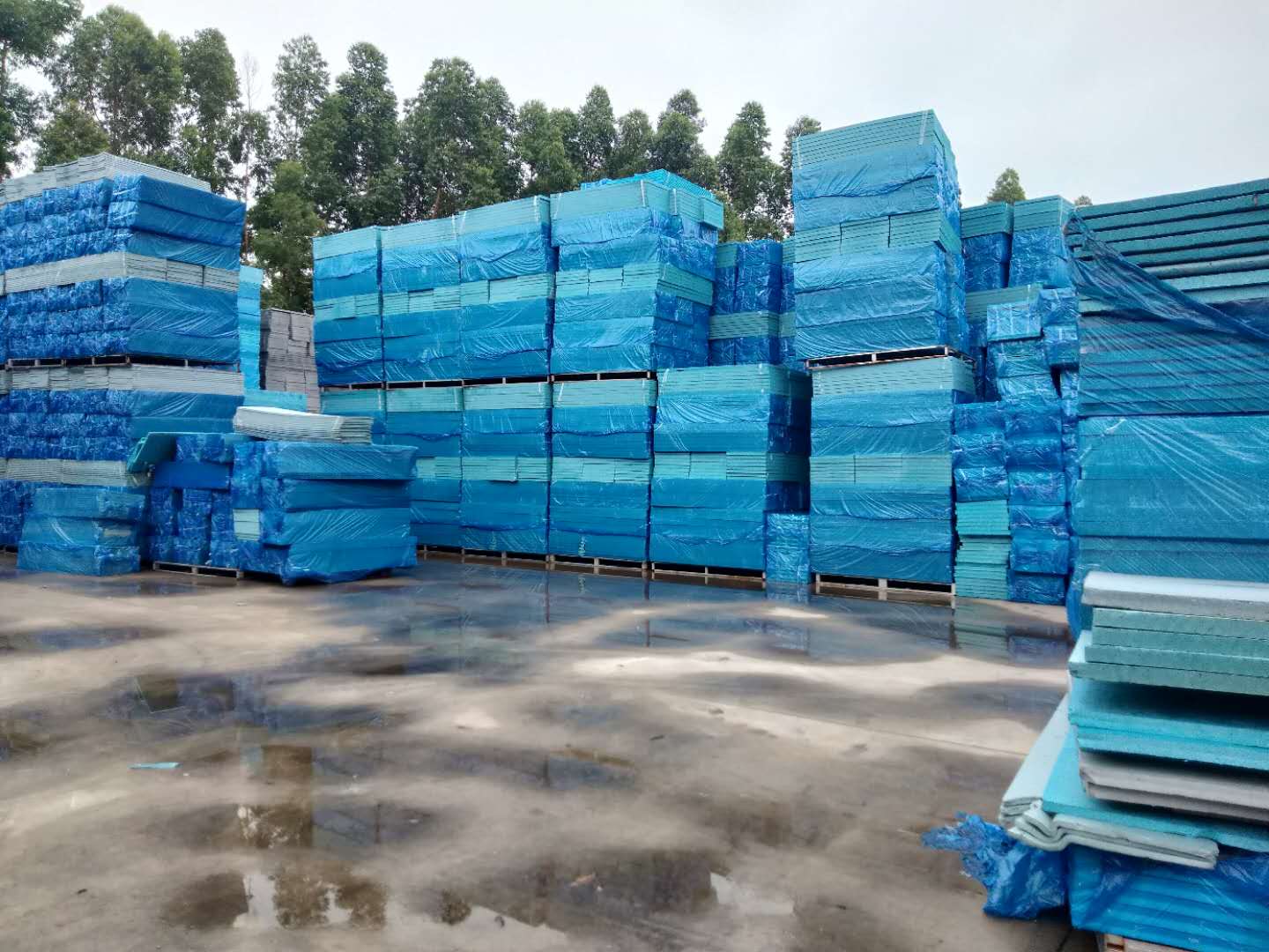 ���¸������Ϲ�ҵӦ��